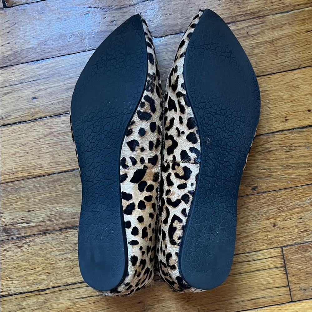 Steve Madden Leopard-Print Pointed Flats - Black, Tan - Picture 2 of 3